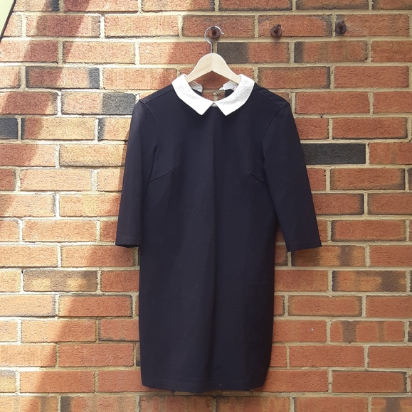 Lace collar mod Penguin dress - Picture 2 of 8